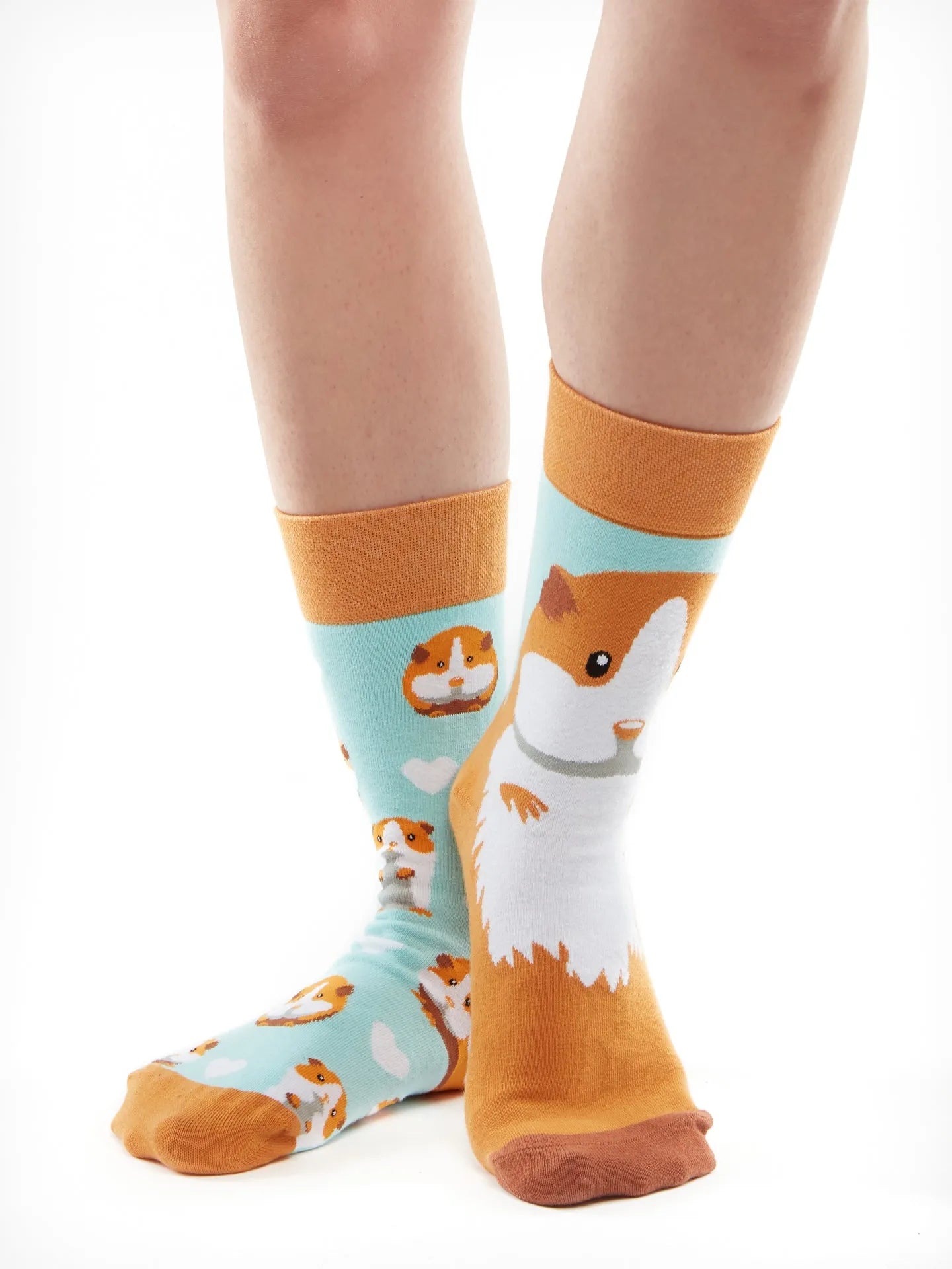 regular-socks-guinea-pig-02-41/414abcb10612d1022acf263ea4d151a69170032d