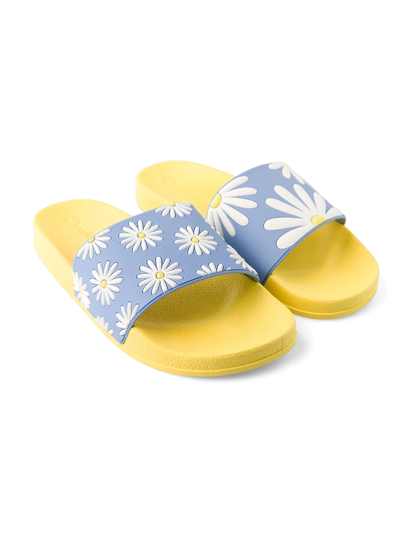 slides-sunny-daisy-02-e4/e4002ce16dc314cb64a33b94a3e3e1aeea347f19