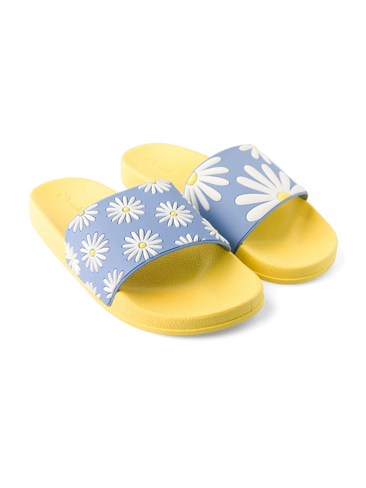 slides-sunny-daisy-02-e4/e4002ce16dc314cb64a33b94a3e3e1aeea347f19