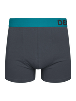 anthracite-grey-mens-trunks-okt-69/697387afea245a78224dc05788a1400c659e4e86