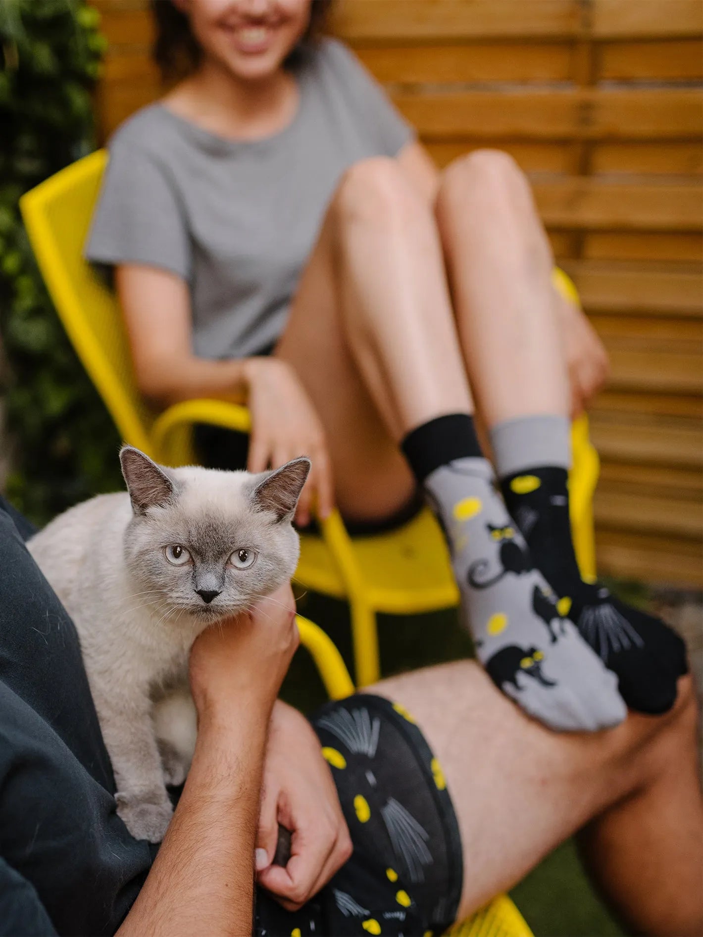 regular-socks-cat-eyes-02-8f/8f16ba0bad146e0c5eb31205f6baf0043462ed54