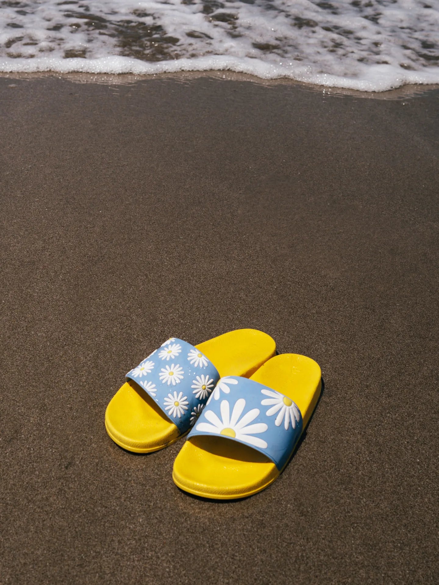 slides-sunny-daisy-02-81/8122fd2f6b699d9e77dfaf1e069d12479ab51bda