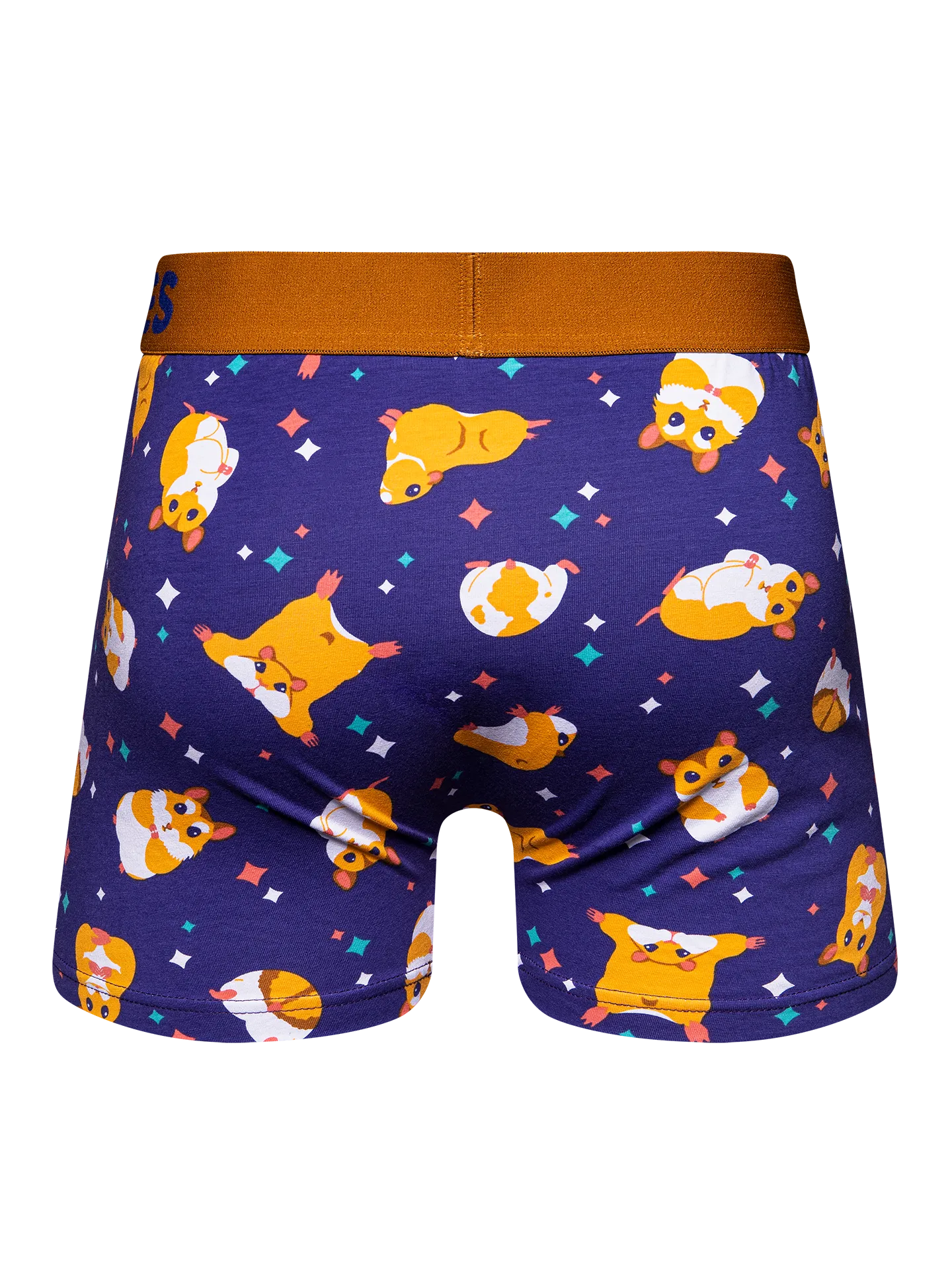 mens-trunks-hamster-3f/3fb56c7eb6cfac8ed71e6193510b2cb5fe91fc20