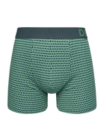 pastel-green-mens-pattern-trunks-13/13592e68699962db24868a07de29494bd965c28f