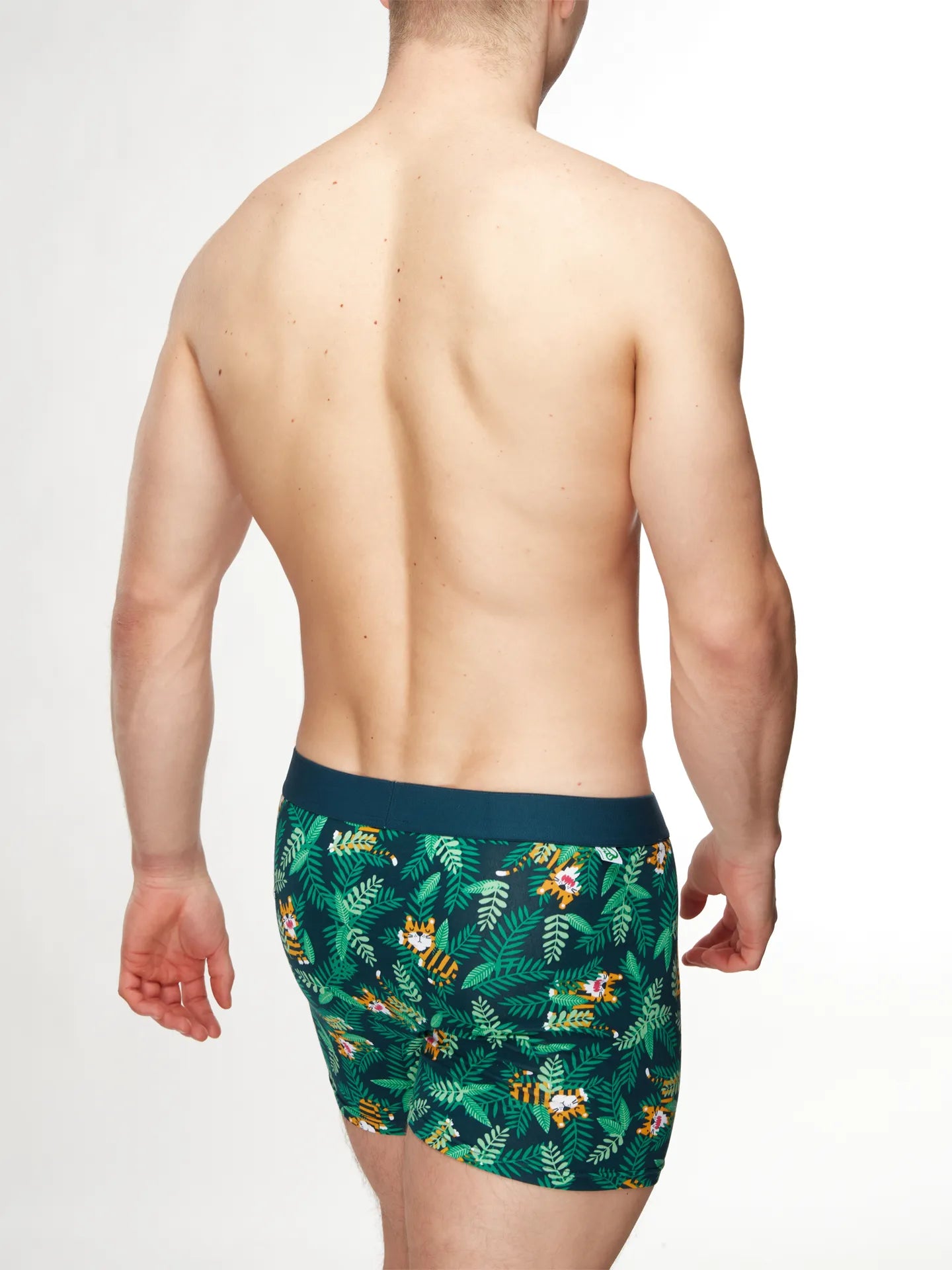 mens-trunks-tiger-okt-e5/e5dd096291aa665ef9cd29ec80f8064d5602716c
