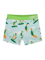 boys-boxers-turtle-the-surfer-d8/d8a42b952c084a26f81233b2f4cb1db7a5ea9964
