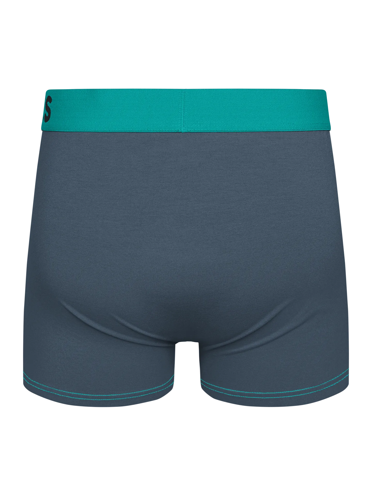 grey-turquoise-mens-trunks-okt-42/42eed90b96f21d2ed5e320c952ff101e203bc2cf