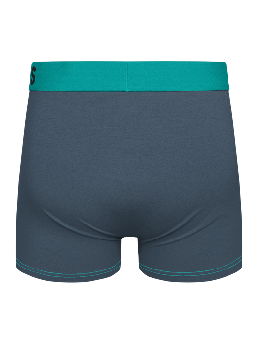 grey-turquoise-mens-trunks-okt-42/42eed90b96f21d2ed5e320c952ff101e203bc2cf