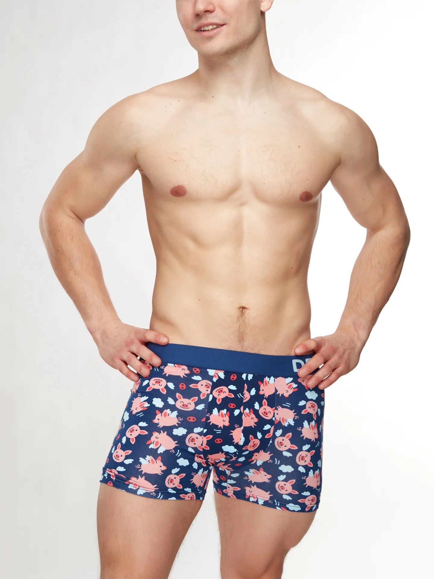 mens-trunks-flying-pigs-okt-15/15b953734c6f47f8d6f288e52db274729dea5246