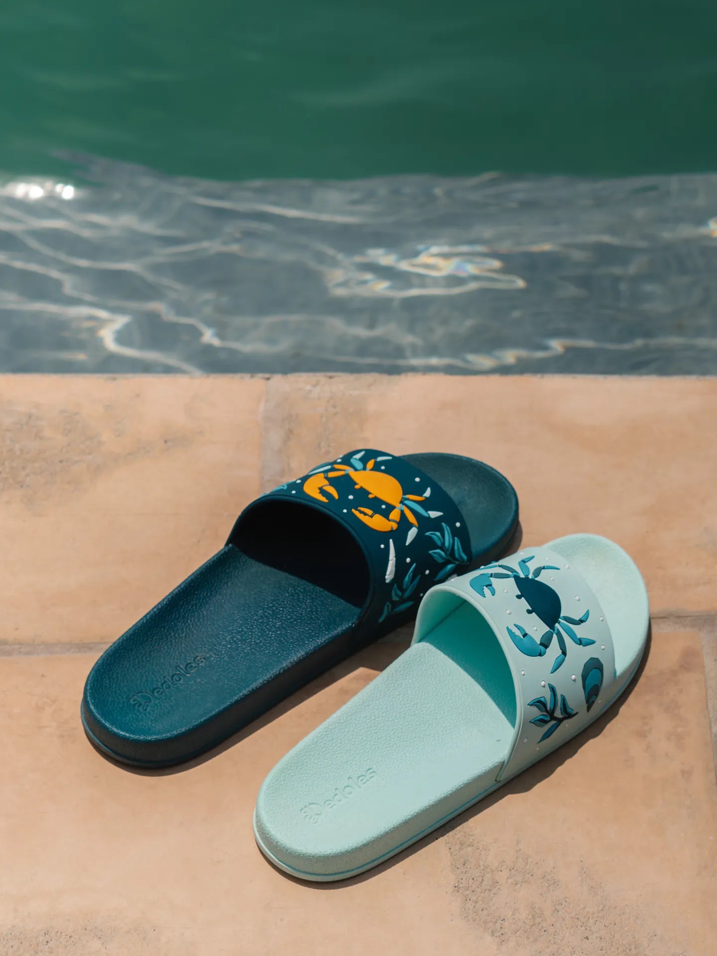slides-sea-crab-02-ce/ce81915a0e2d303f595d341f258bfd6ca2312d78