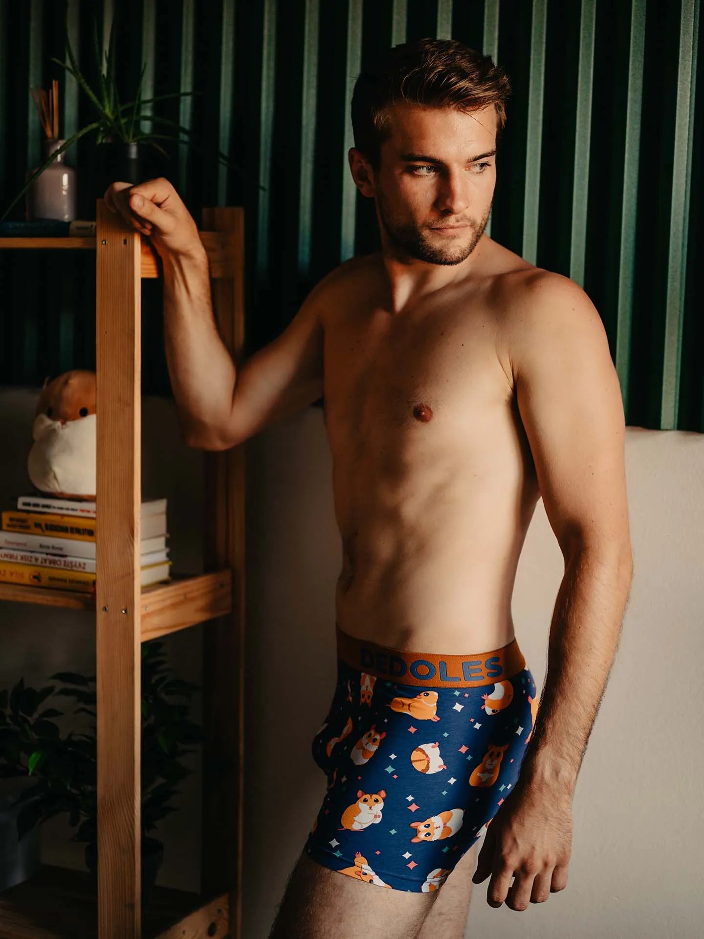 mens-trunks-hamster-02/02a108646ccea1dd849408b067e86ec5a9ee0659