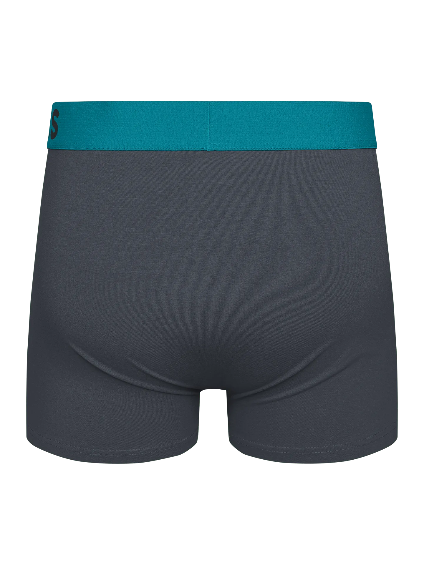 anthracite-grey-mens-trunks-okt-78/78bd35e5e0e8c742068ce801efe668554a852d8b