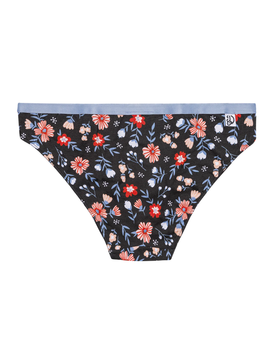 womens-briefs-meadow-mood-dc/dc30366e67de61c8f4268ce9f8957ddd754fd476