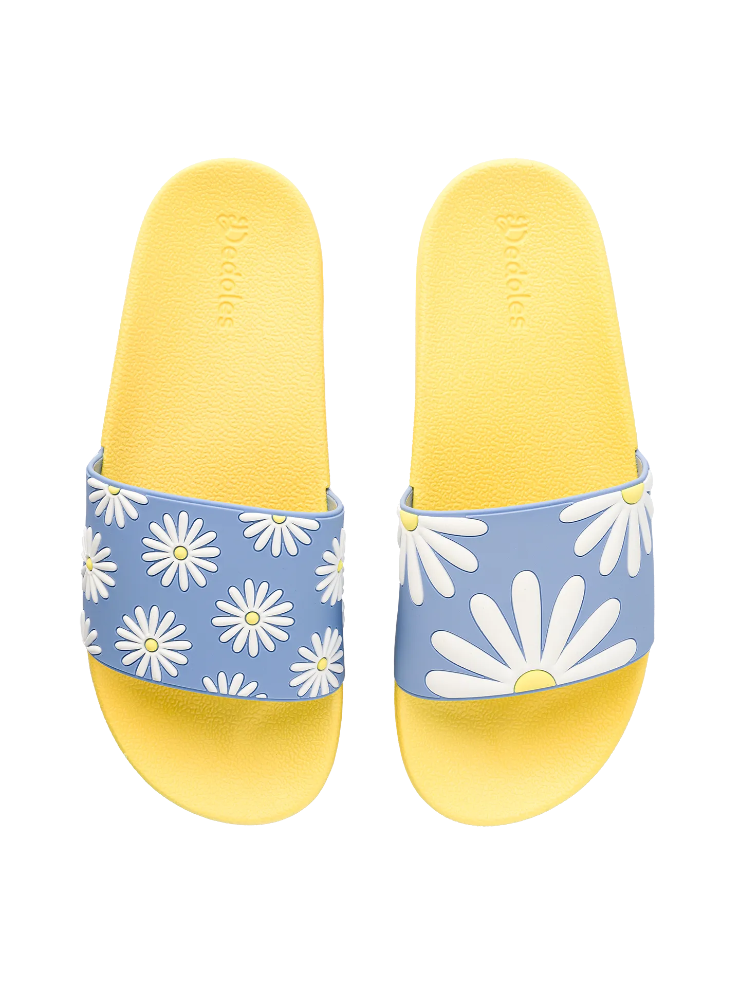 slides-sunny-daisy-02-bc/bcaf2f5e6a8b2d07e6b63eab9236c642730bc4b9