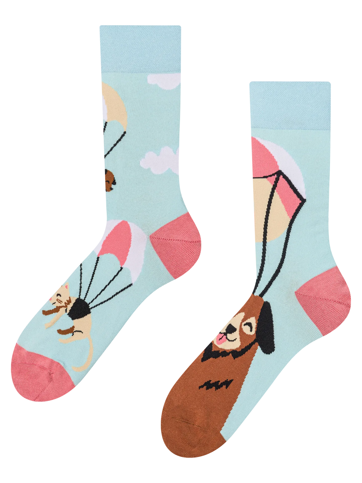regular-socks-flying-cats-dogs-02-18/180528059bd383682eef7cd47695451c37b64dbb