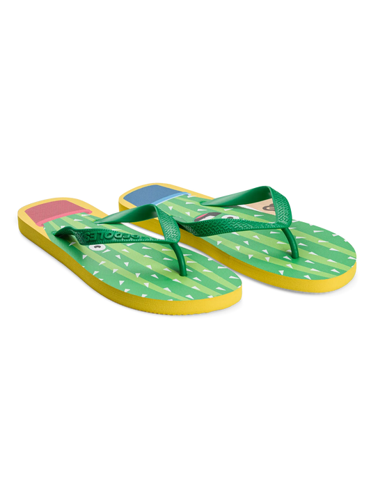 flip-flops-funny-cactus-c9/c9b0e406856753c0e679c3e0ac9a6ffdf8db20de