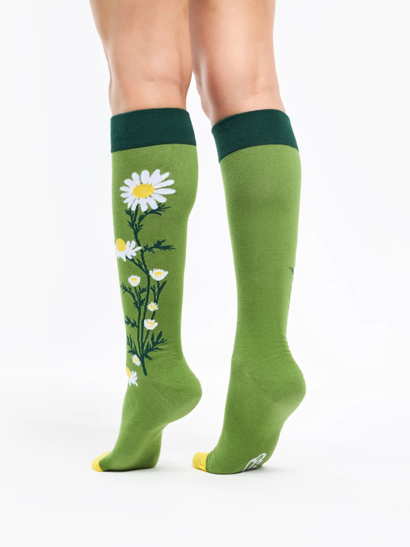 knee-high-socks-chamomile-tea-a5/a5e62981227fbdbc6027fc28b8f82e4058f179ea