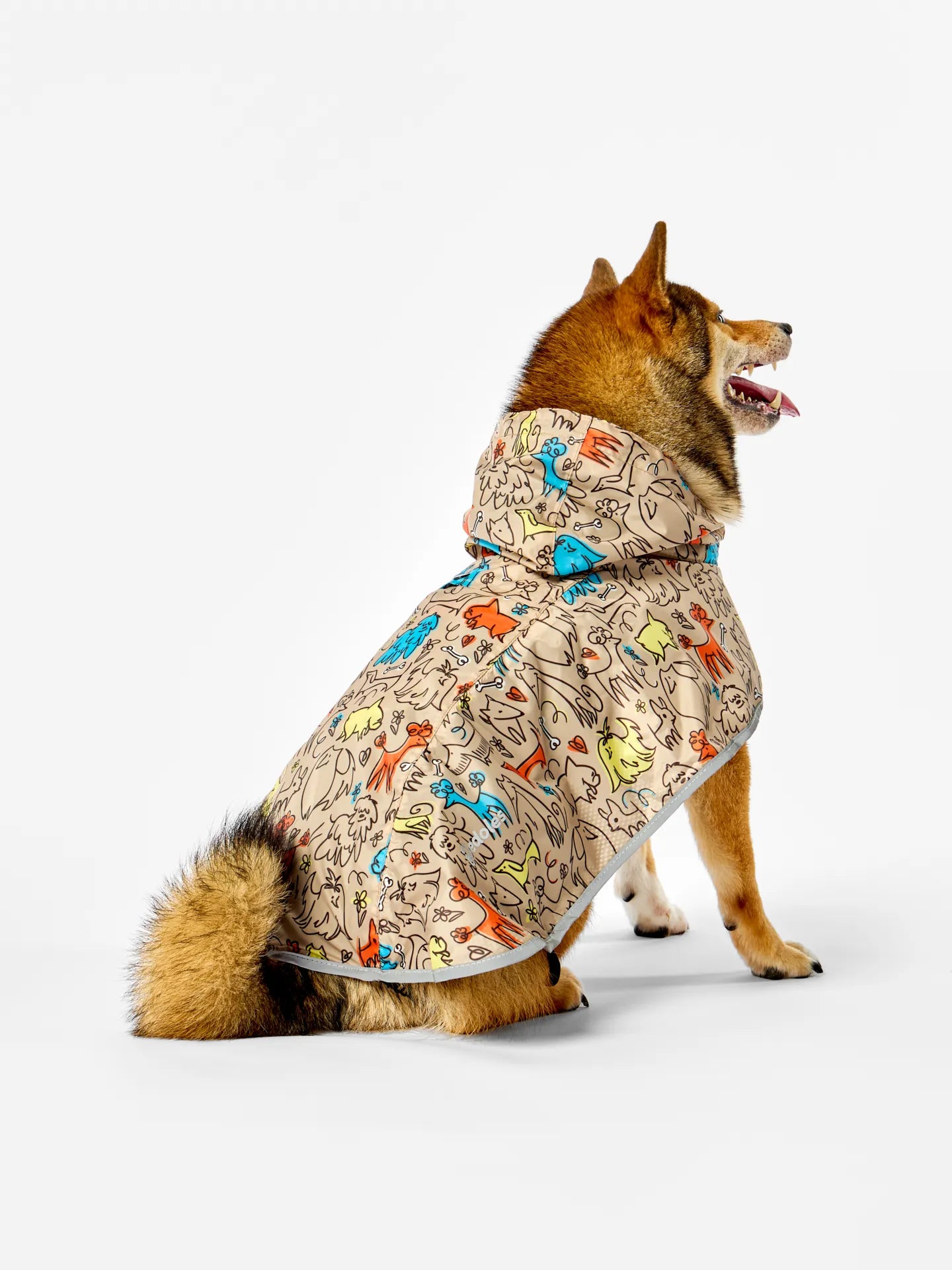 dog-raincoat-dog-pack-c9/c9c8b9b38ffc4e8e83f2a2a780df9a0d4e67f6cf