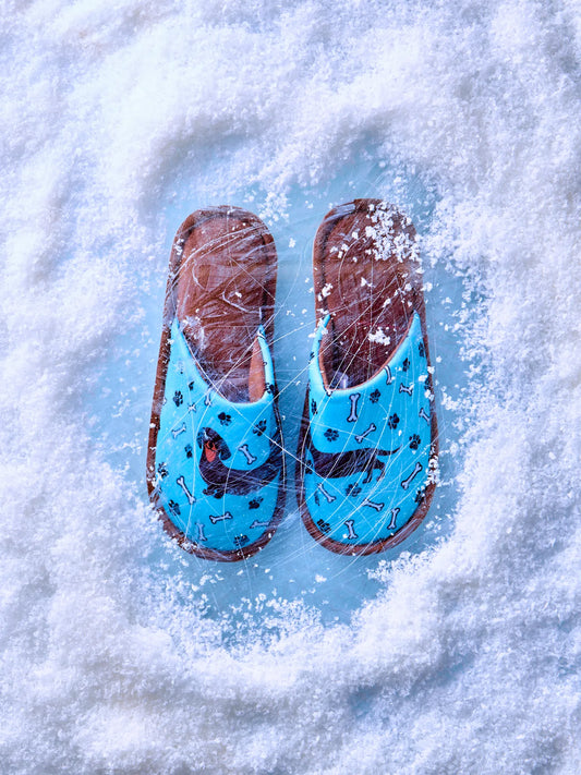 slippers-long-dachshund-85/85bd113b4268f1dd0ee84212eb108fcd28140bf4