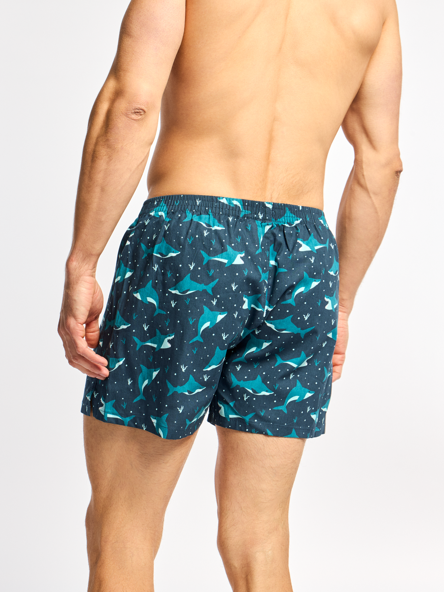 mens-boxer-shorts-blue-shark-12/12ce780c347c55c21684fd670eded1efdf342b8b