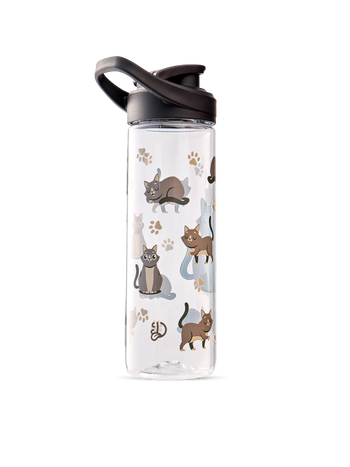 Sticla pentru Apă Veselă Pisică Gri 700 ml