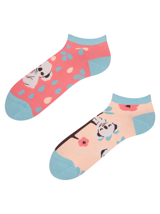 ankle-socks-sleepy-koala-02-7e/7e1dbbc810cc1a3da6bf86dc2911772e82f10fdc