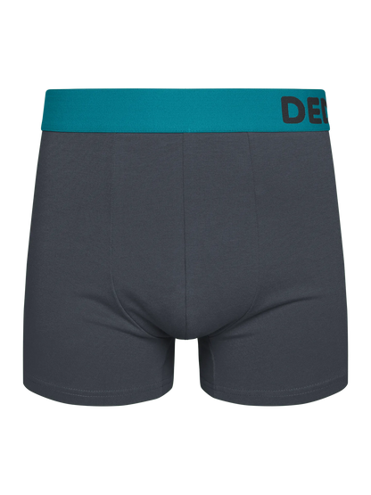 anthracite-grey-mens-trunks-okt-69/697387afea245a78224dc05788a1400c659e4e86