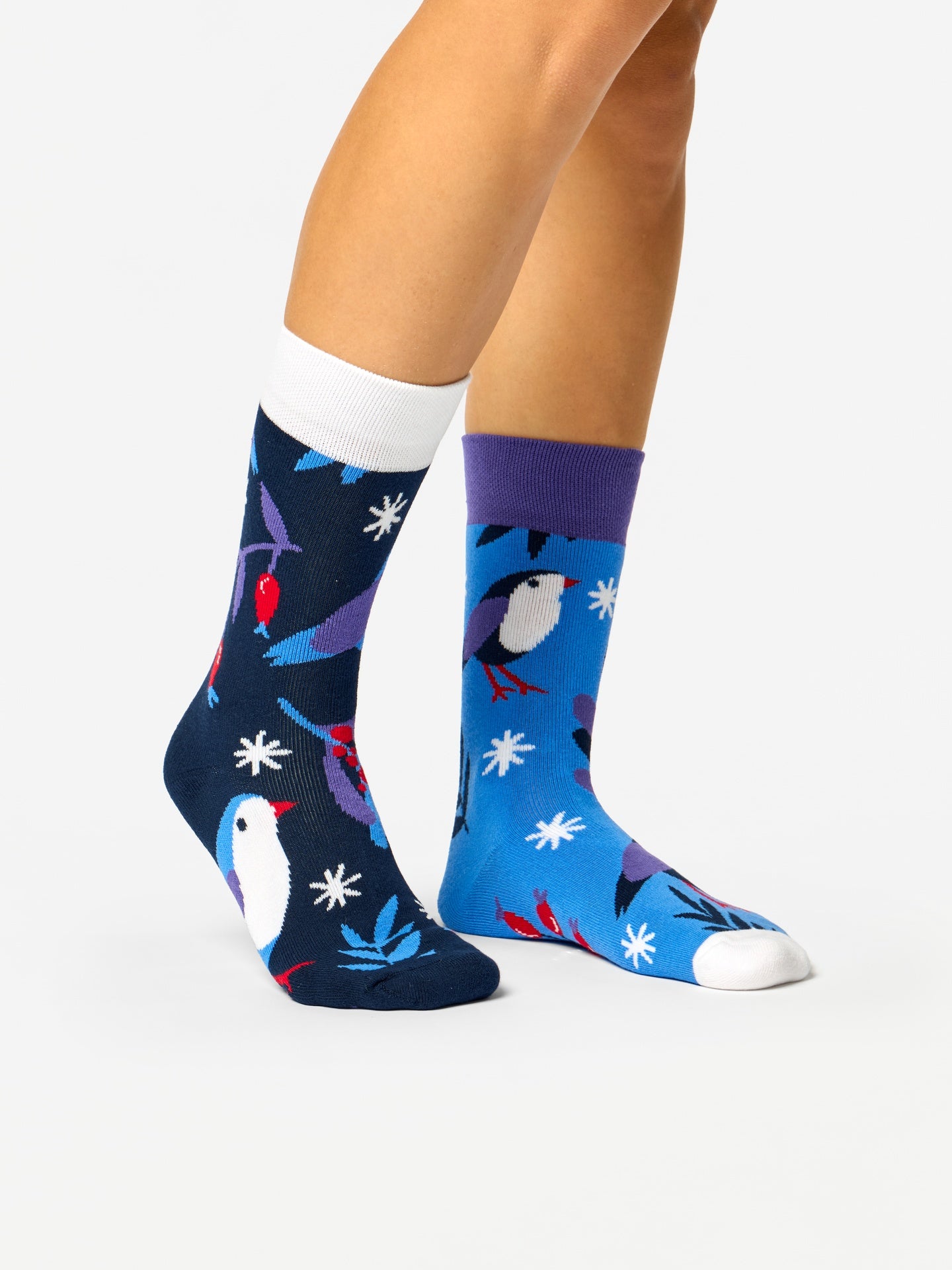 warm-socks-bird-in-winter-4a/4ae893eb14b95a2282d11b790e78a6efe4d1537c