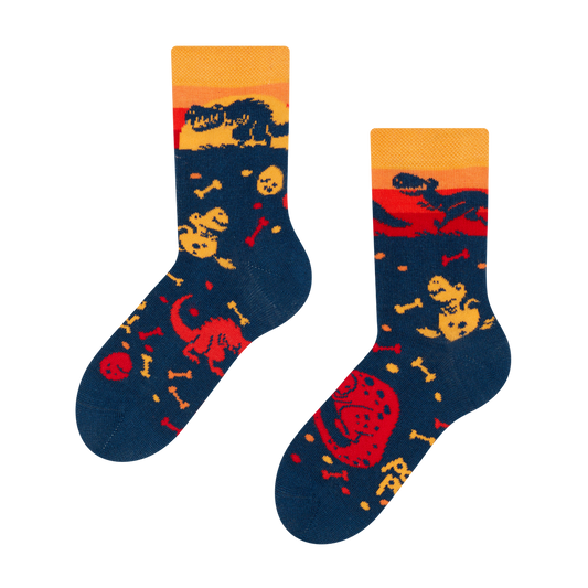 kids-socks-dinosaur-world-okt-69/69ecfe862de1c62e75712298f387abe834d83385