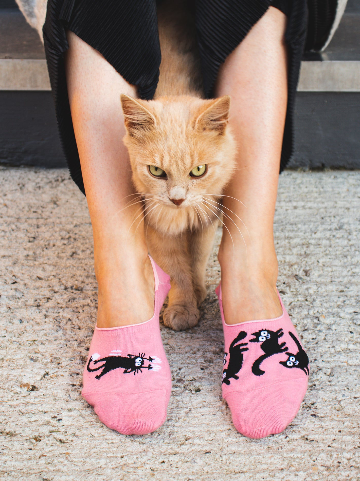 no-show-socks-pink-cats-okt-72/72d4da809b3c77a713ae2103d192d9b45bf219cb