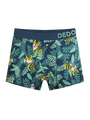 boys-boxers-tiger-19/19fcd09e625455f1c01149e923187e5ad3154a63
