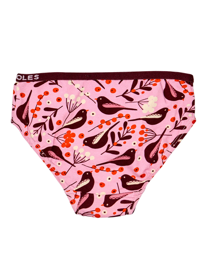 girls-briefs-birds-berries-1d/1d437497be6190bdf111d8613a19386c9e0c3424