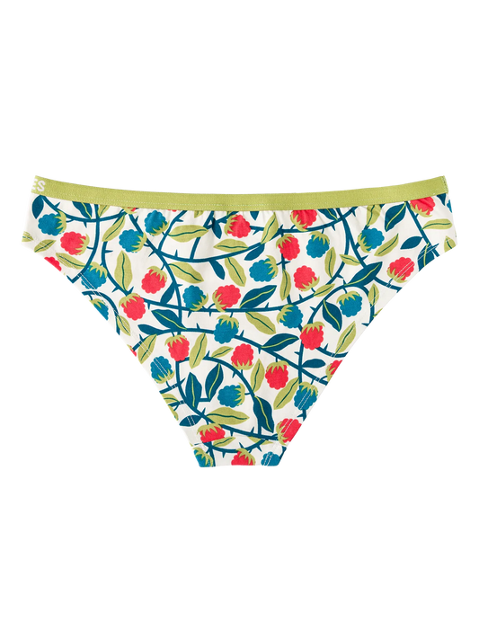 womens-briefs-raspberries-1d/1db08599093269dc9c379a6f1e7c141dd9c36098