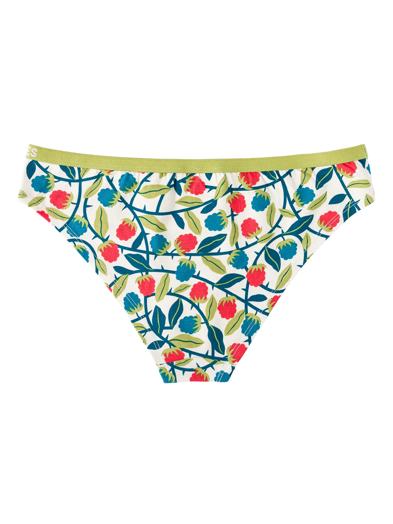 womens-briefs-raspberries-1d/1db08599093269dc9c379a6f1e7c141dd9c36098