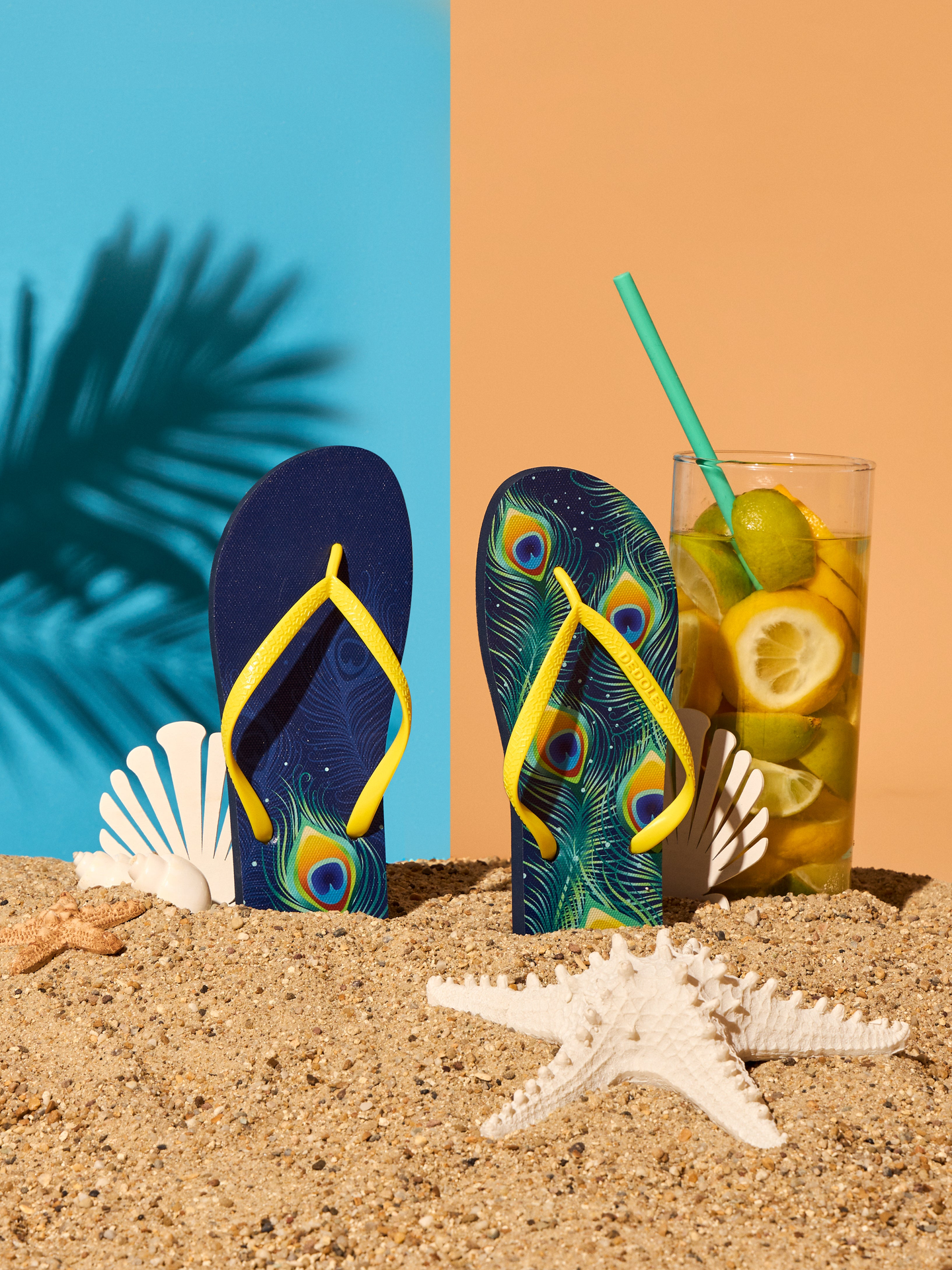 flip-flops-peacock-feathers-5f/5fcf8bebbb347281c9fdcdf09d74afe47f932902