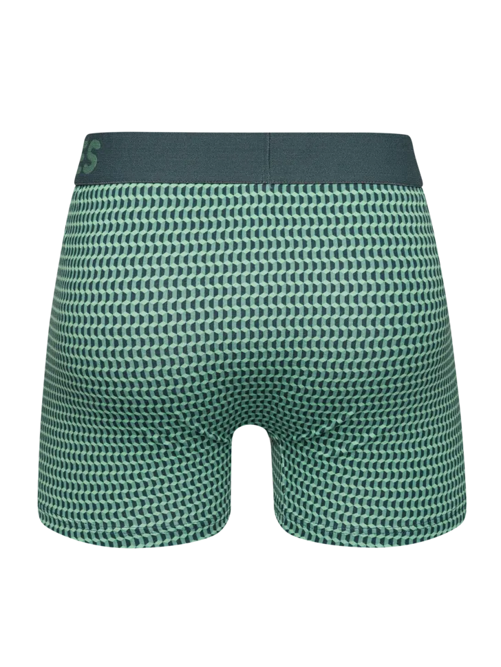 pastel-green-mens-pattern-trunks-cd/cd80bbd68639d85e767b63421d7be41ba73a51bf