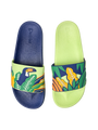 slides-toucan-leaves-27/27cde7ec5fe2b5798e4dade6adbbe403a5841578