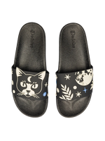 slides-cat-moon-2a/2a3c273a96c40ff529d65ea2ac923c2745a2dff9