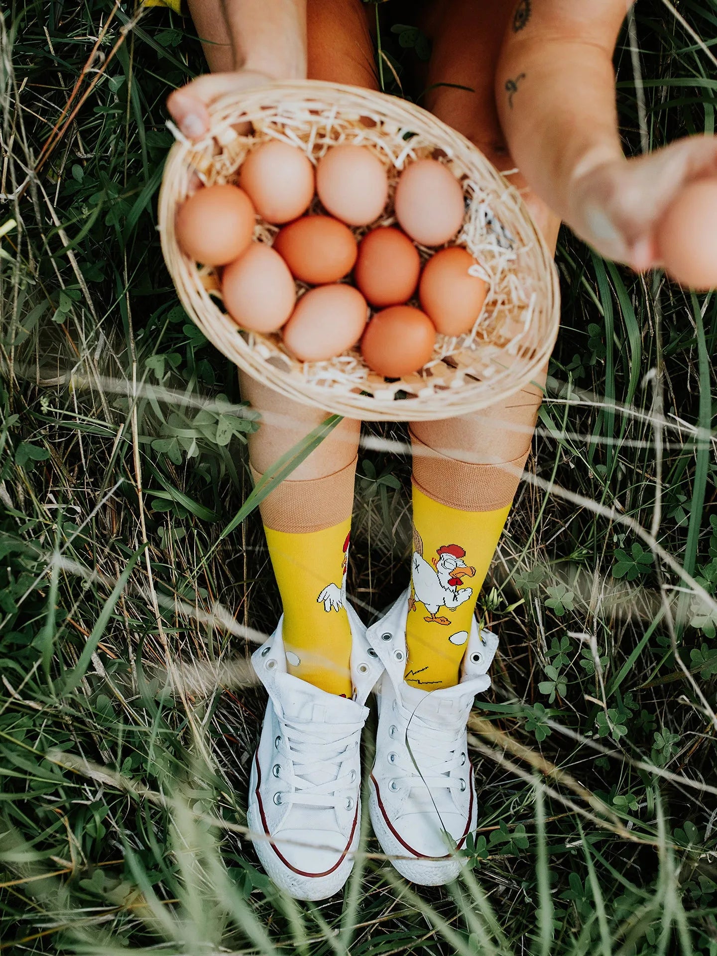regular-socks-chicken-or-the-egg-02-b5/b5c9e6715825adbb59db7384b8eed98249d3f51a