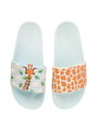 slides-cute-giraffe-34/34f7bc11a8bf8a1676ebf55652f5acfe96e4346a
