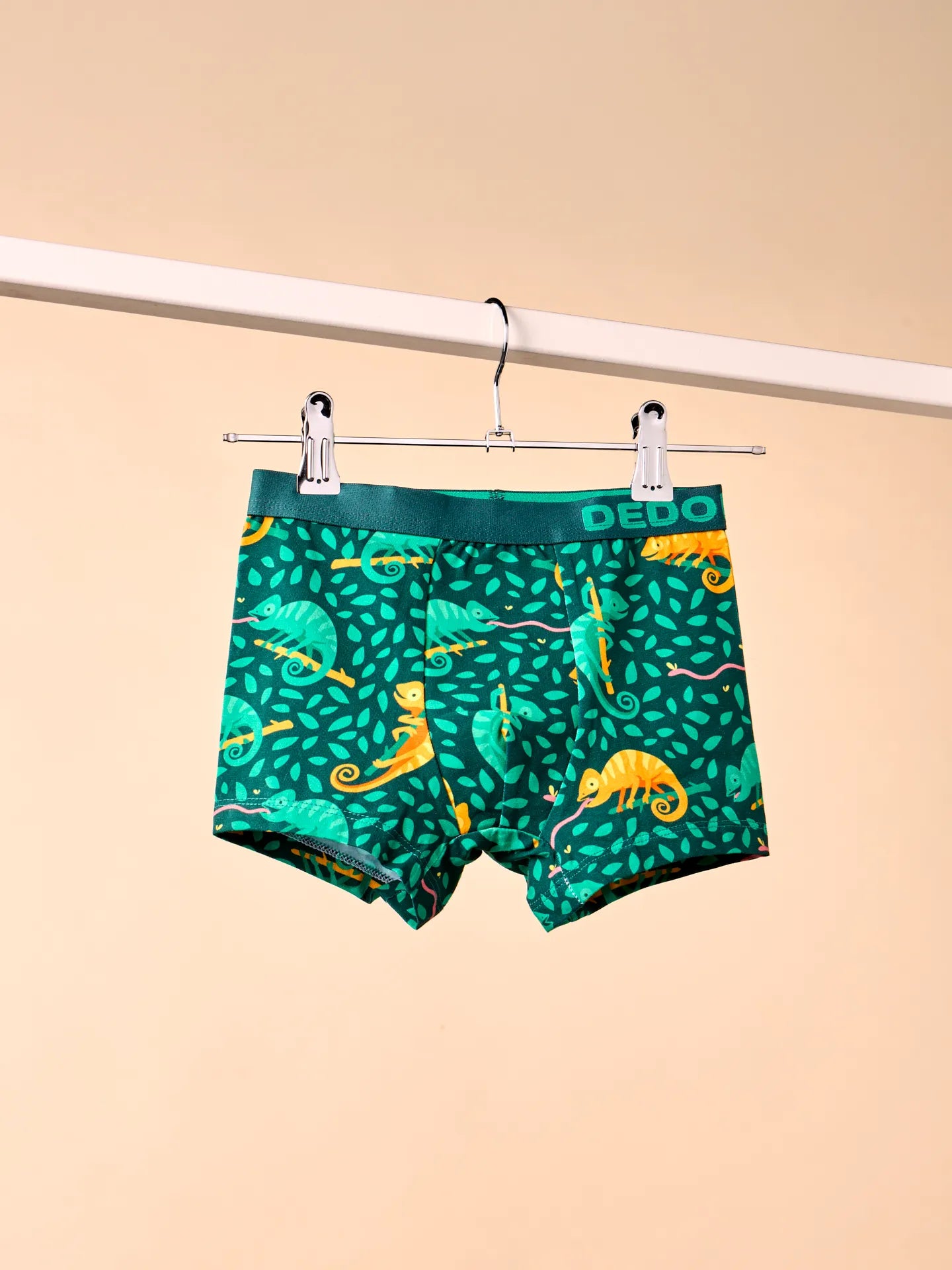 boys-boxers-hunting-chameleon-35/358052054234d54ccac0dc3956591e88d0d92df0