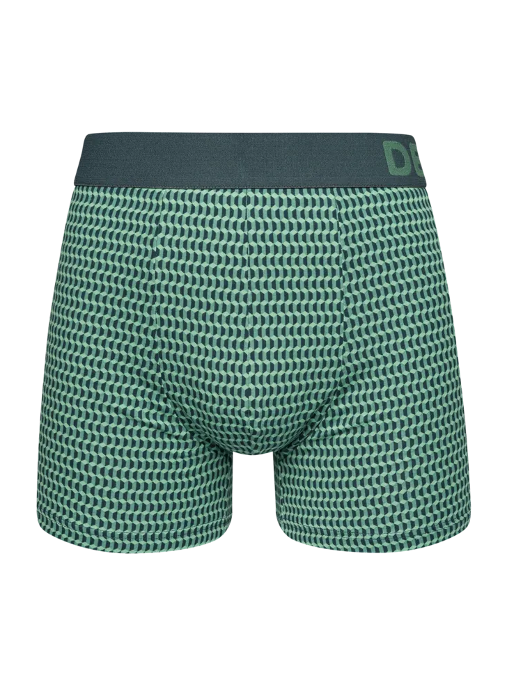 pastel-green-mens-pattern-trunks-13/13592e68699962db24868a07de29494bd965c28f