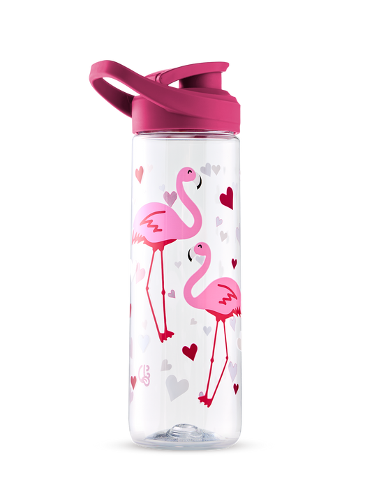 water-bottle-flamingos-hearts-700ml-88/88b6c7782c872c861ed5a0577cd67638c31d3ea2