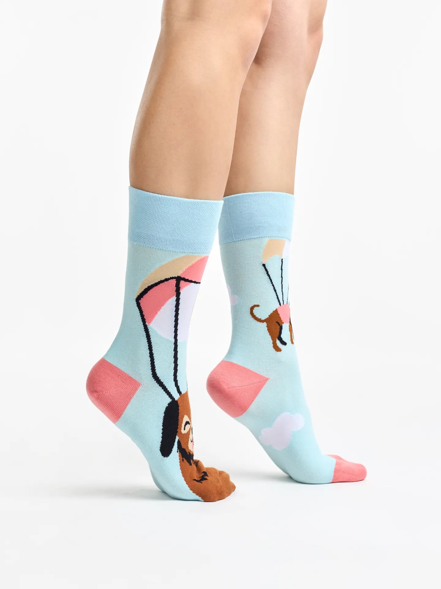 regular-socks-flying-cats-dogs-37/374f5ed5e42a56912600b4287aafdb938154afab