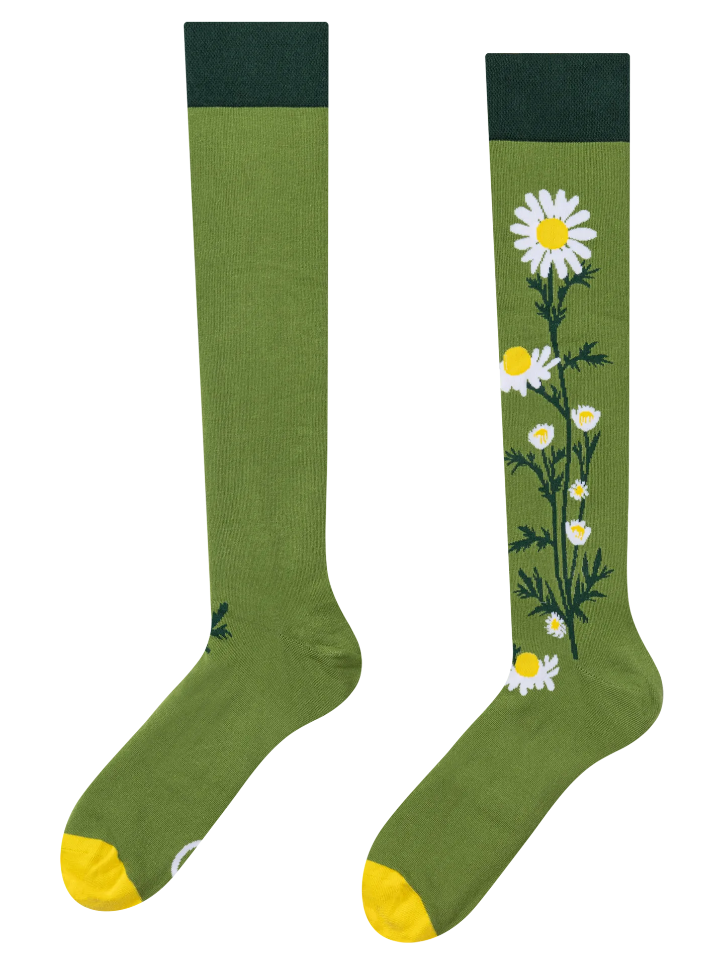 knee-high-socks-chamomile-tea-ca/ca62c631f49d1790fd0925d957d364d226c71201