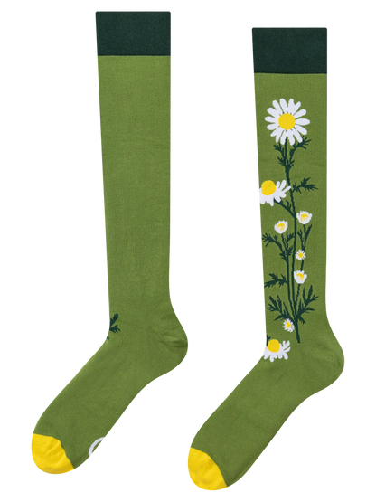knee-high-socks-chamomile-tea-ca/ca62c631f49d1790fd0925d957d364d226c71201