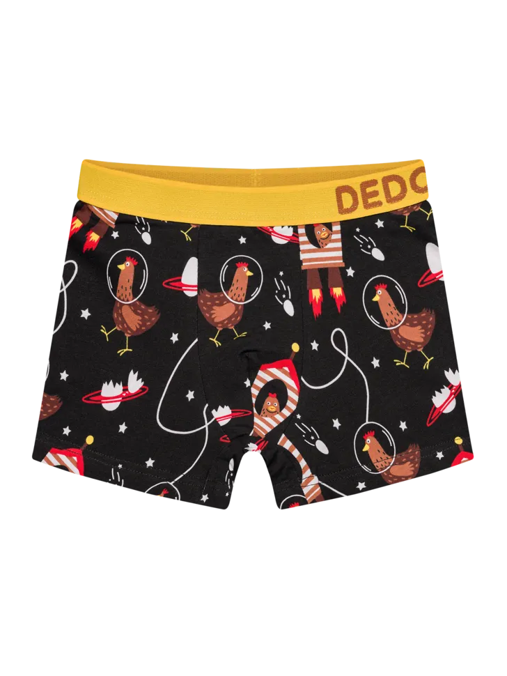 boys-boxers-hen-astronaut-e8/e84fabe4100a7860a817e402a119bfa562f4b5c3