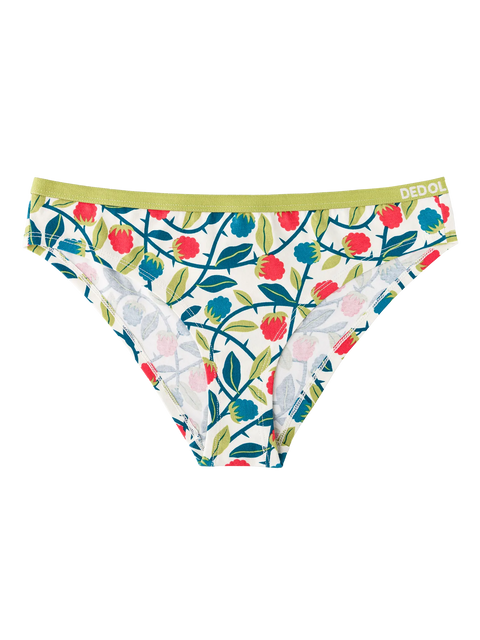 womens-briefs-raspberries-40/4045c2771d5a63c2d229c71a12af2741bbba05d3