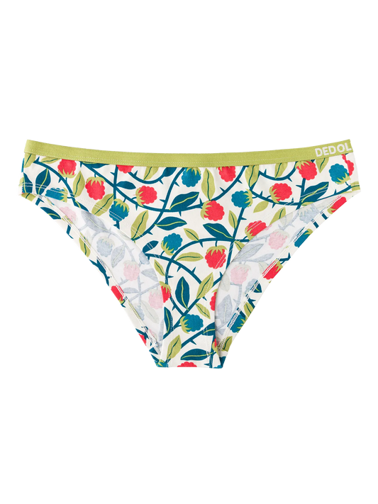 womens-briefs-raspberries-40/4045c2771d5a63c2d229c71a12af2741bbba05d3