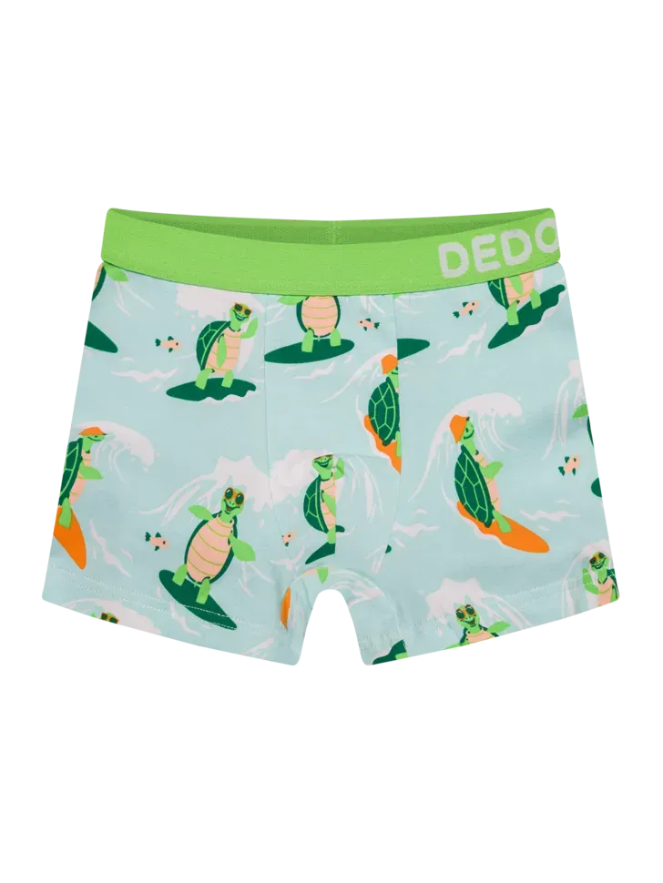 boys-boxers-turtle-the-surfer-d8/d8a42b952c084a26f81233b2f4cb1db7a5ea9964